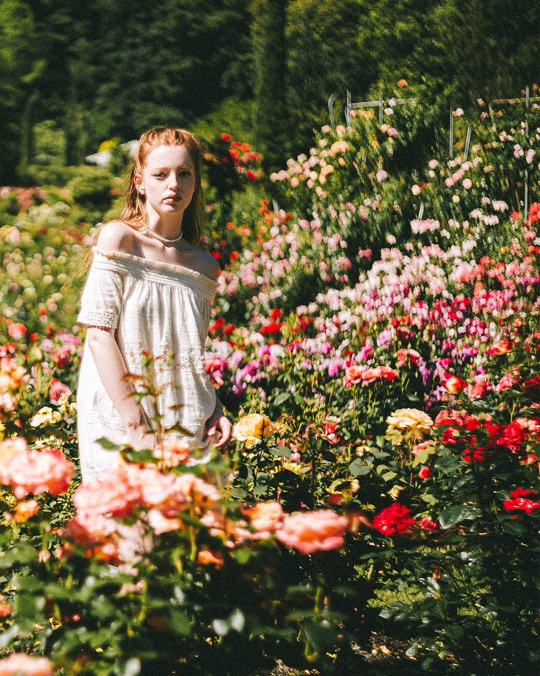 Creative Editorial Portraits at a Rose Garden in Portland — photograph 3 of 20